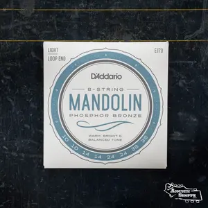 D'Addario EJ73 Phosphor Bronze Mandolin Strings, Light, 10-38