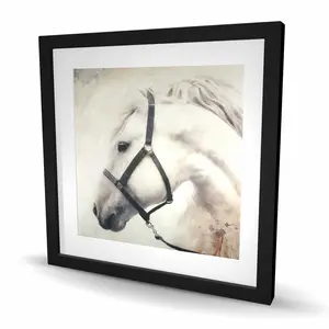 212 MAIN Darius the White Horse Matted Framed Print Wall Art, 24x24 in, Nature-Inspired Photo Decoration for Farm Animal Room & Home Decor, Matted Framed Wall Art