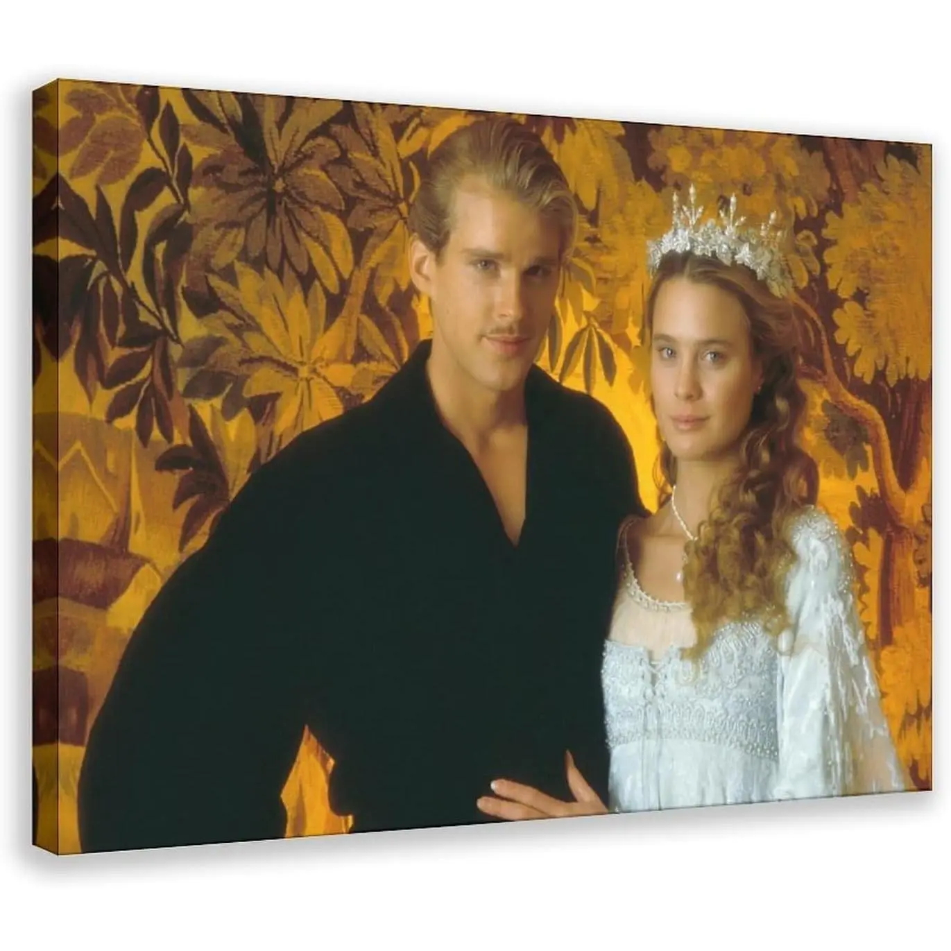 The Princess Bride Movie Poster Canvas Wall Art Prints - 24in Decorative Artwork for Bedroom, Living Room Home Decoration