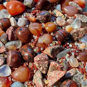 Bold Blend Bold Blend