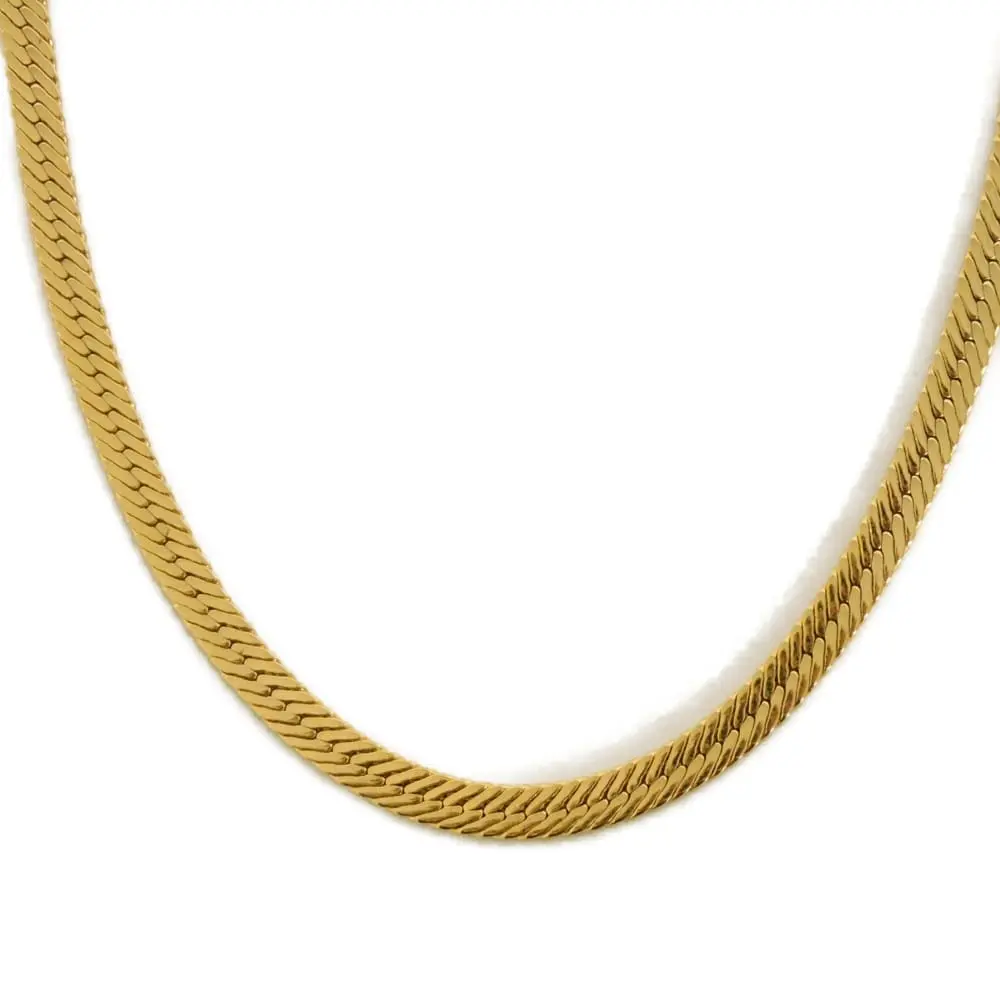 Pre-owned GIVENCHY Other Small Leather Goods Snake Chain Long Necklace