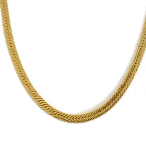 Pre-owned GIVENCHY Other Small Leather Goods Snake Chain Long Necklace