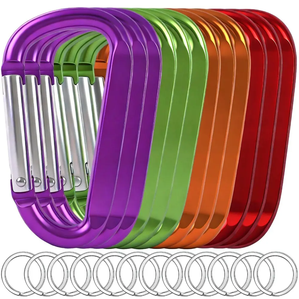 Purple+Bright Green+Orange+Red