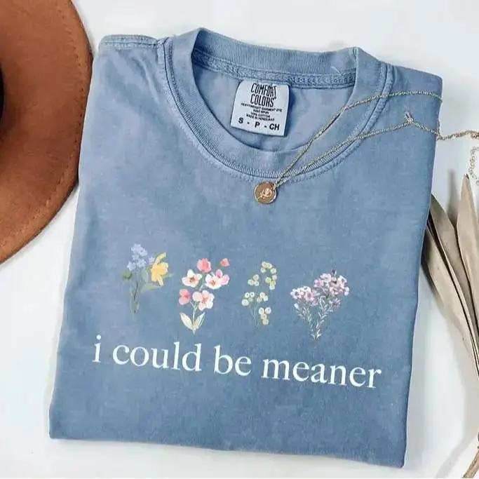 Comfort Colors I Could Be Meaner T-Shirt, Funny Sarcastic Graphic Tee for Moms and Friends, Cute Sassy Humor Shirt, Cozy Casual Cotton Top, Playful Gift Idea for Women with Attitude - HARSIN