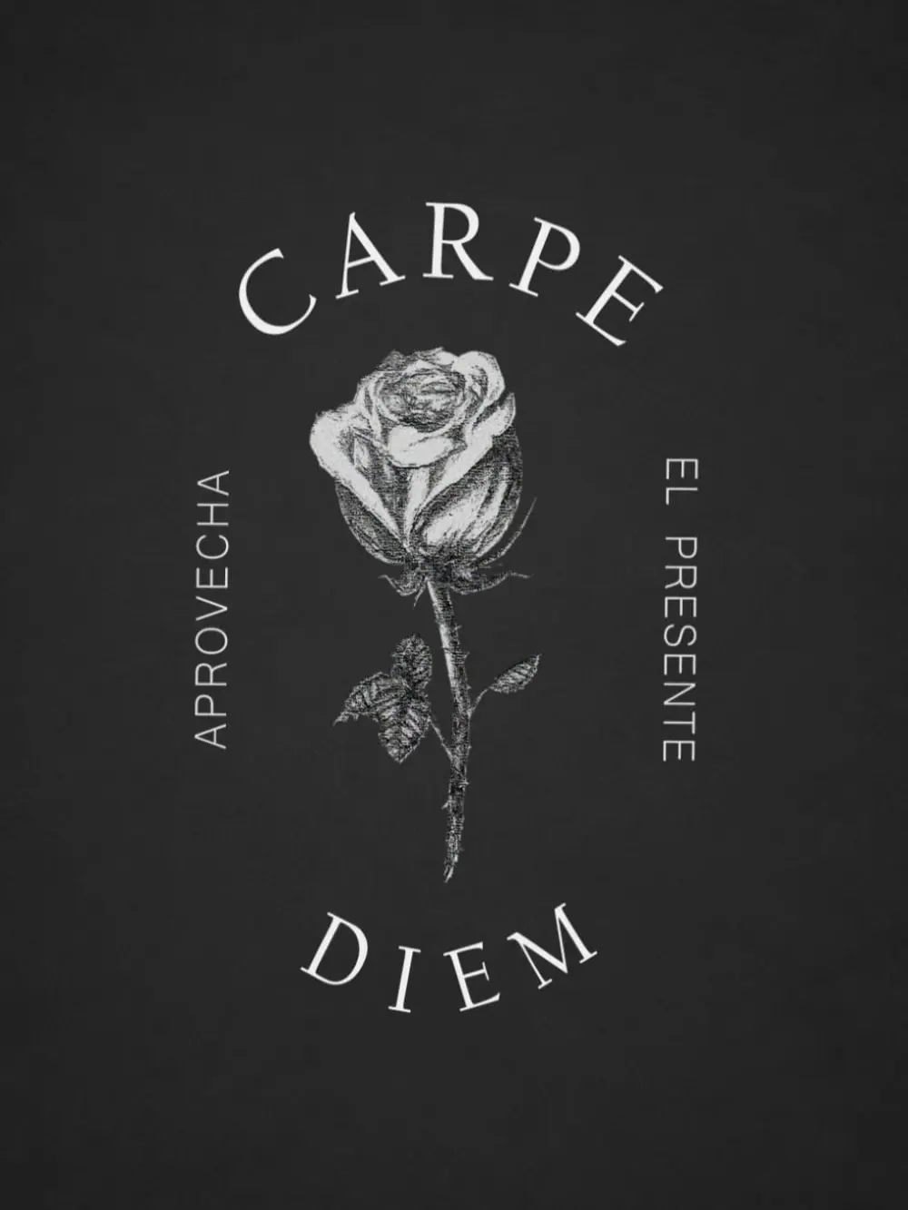 Carpe Diem: Aprovecha el Presente (Instantes Eternos: Colección Tempus.) (Spanish Edition) Paperback – October 19, 2025