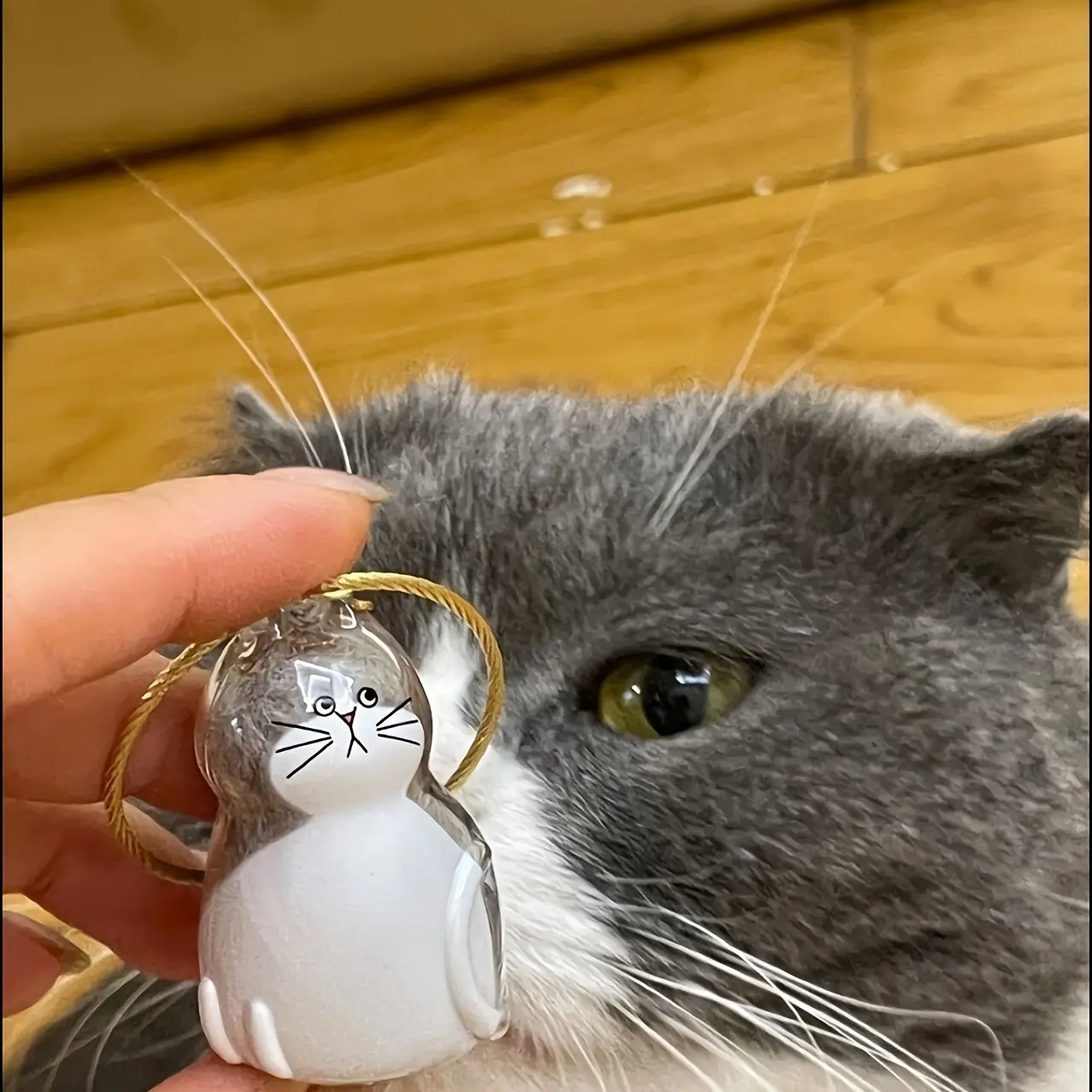 Transparent Cat Memorial Capsule - Cute Face Design - Cat-Shaped Sealed Pet Hair Keepsake Box with Hanging Loop - Grieving Gift for Cat Owners - Long-Term Hair Preservation - Secure Seal - Pet Loss Memento - Heartwarming Choice for Cat Love
