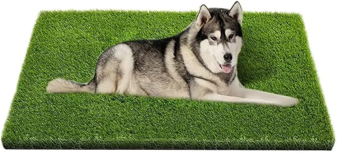 Professional Dog Grass Mat, Artificial Grass Turf, Large Outdoor Rug Patio Lawn Decoration, Easy to Clean with Drainage Holes (48x32 inch)