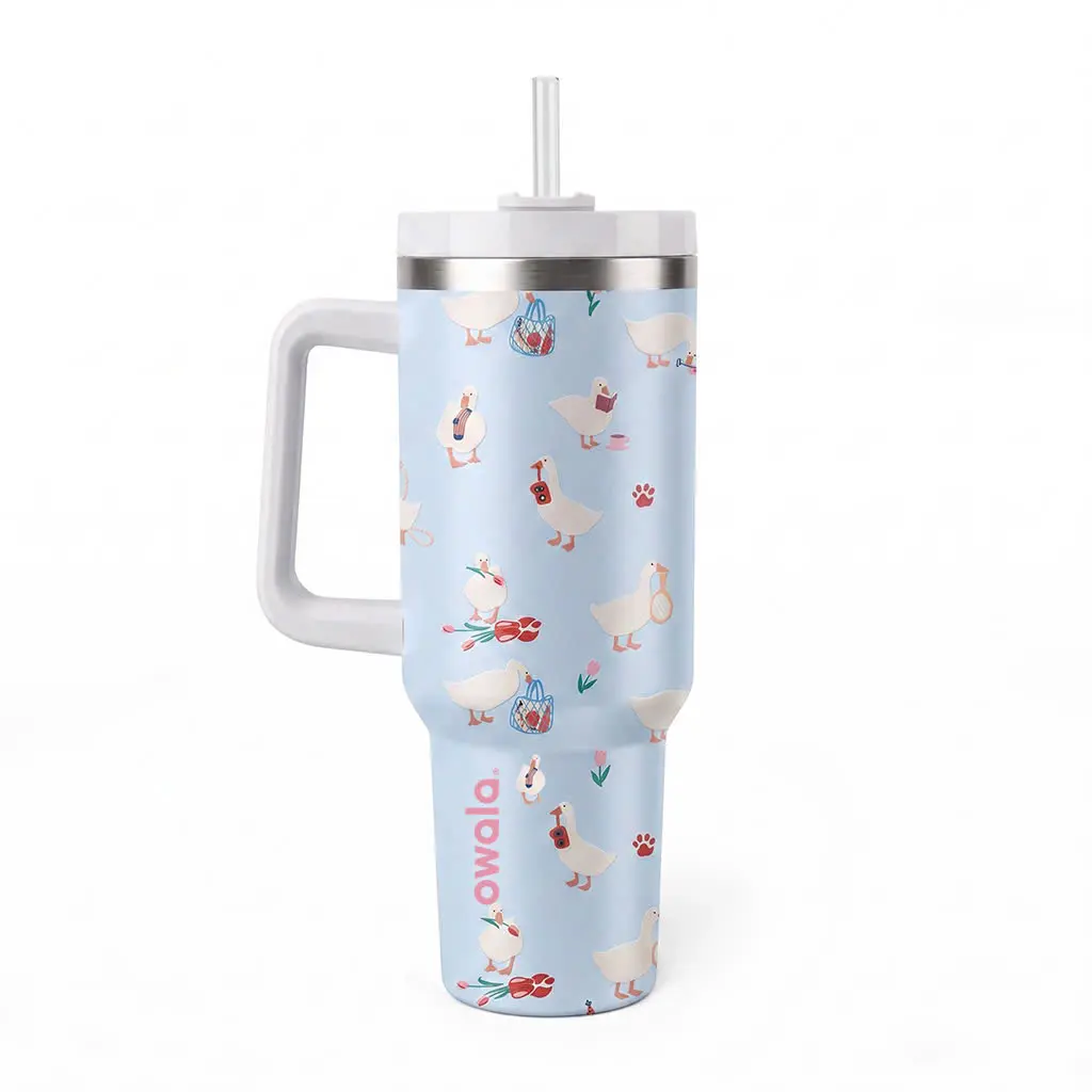 Owala UO Exclusive Silly Goose FreeSip 40oz Water Bottle