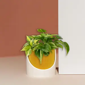 6 Inch Self Watering Planter, Large Indoor Outdoor Plant Pot with Drainage, Terracotta, Green, Beige, Modern Ribbed Design (Copy)
