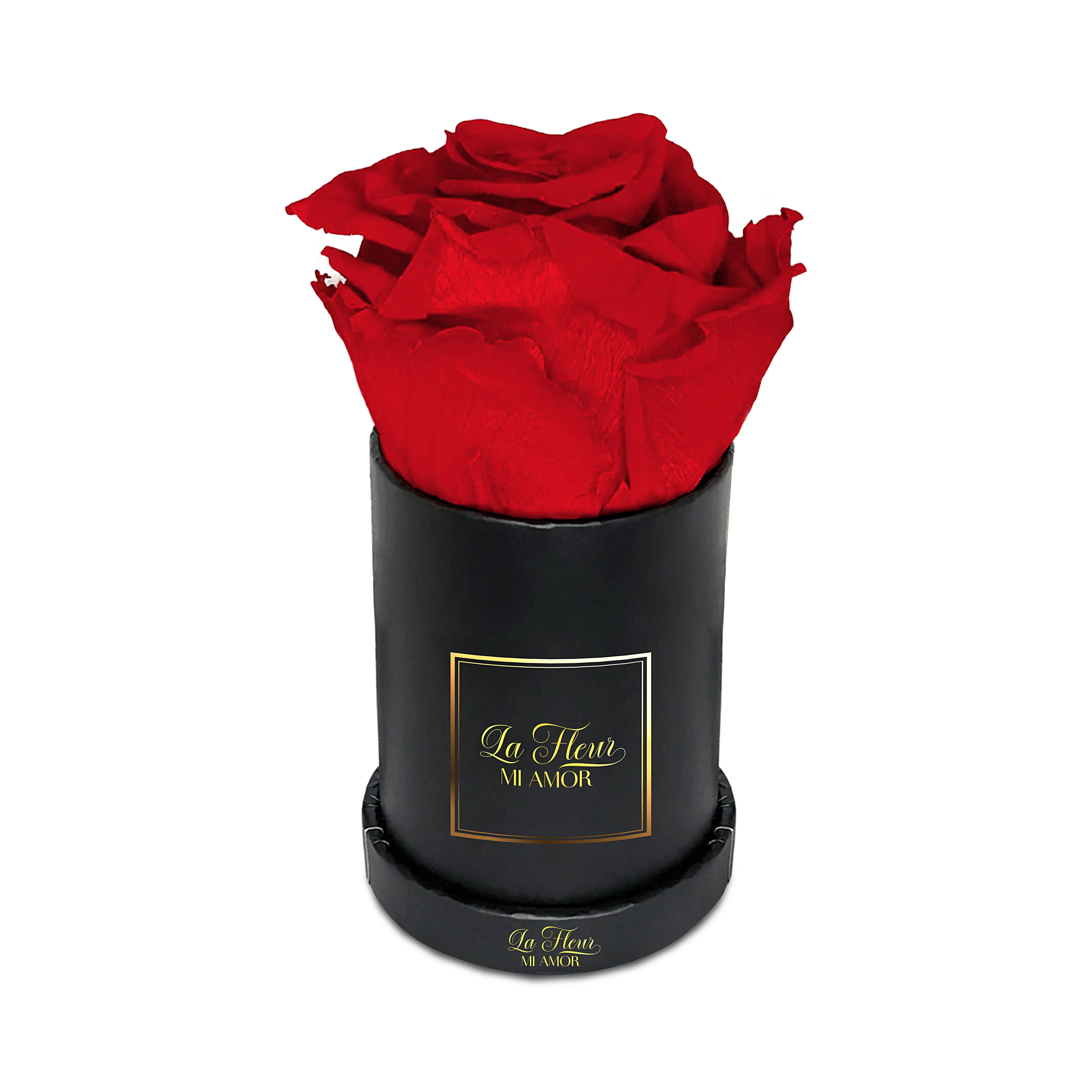 Belle Amour Single Rose Bouquet with Gift Box