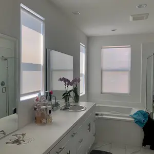 Motorized Roller Shades Light-Filtering