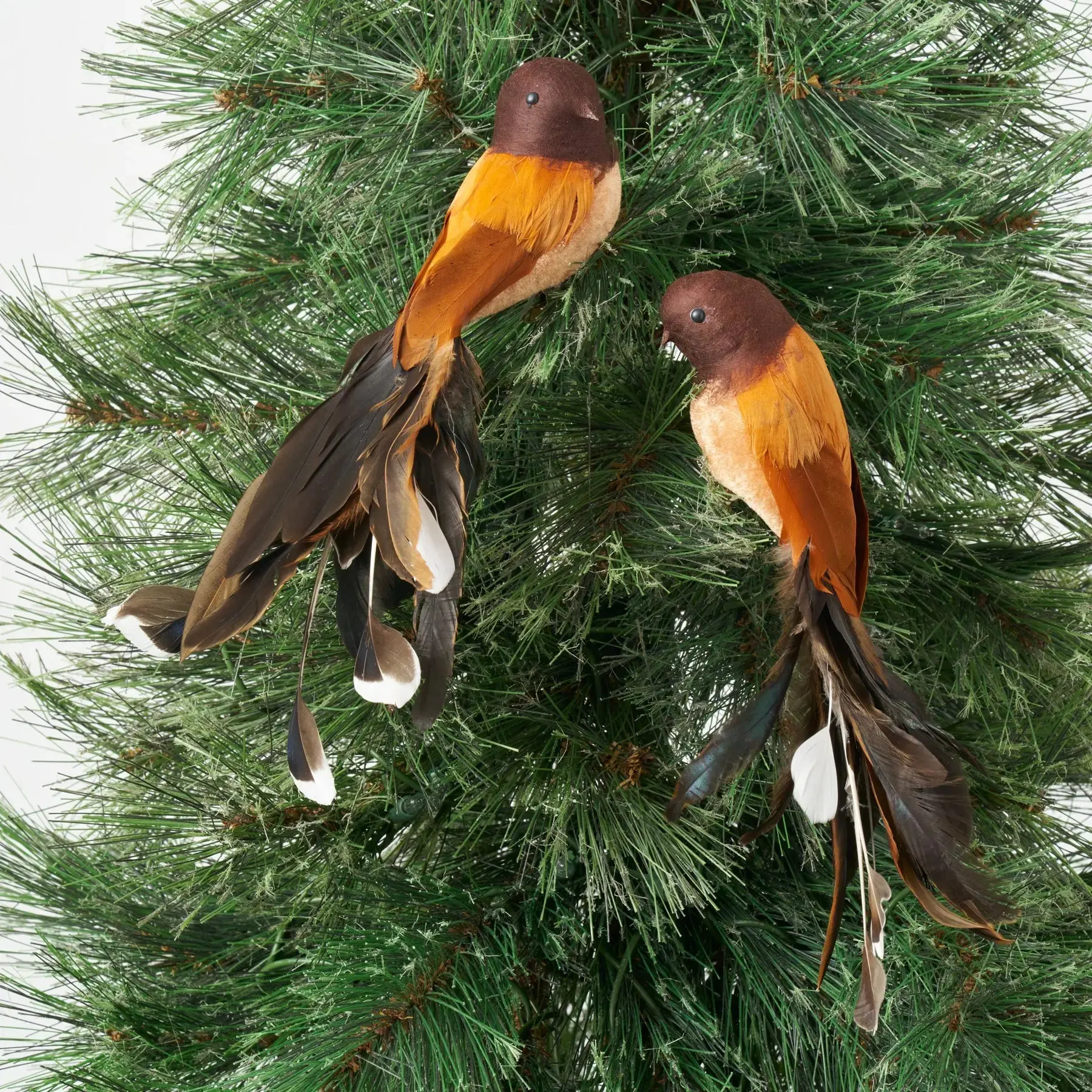 Realistic Bird Tree Ornaments, Orange & Black Feather Decoration Clip-On Set of 2 - Left/Right, 10"h Christmas Festive Home Decoration