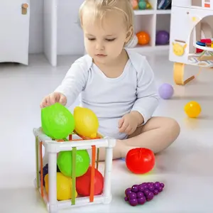 Montessori Educational Fine Motor Toy for Babies 6-18 Months, Includes 6 Sensory Balls and 3 Soft Balls, Learning Sorting Box