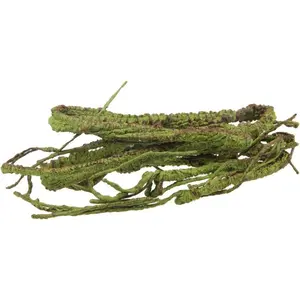 Flexible Realistic Jungle Vine, Pet Habitat Decoration, Suitable for Lizards, Frogs, Snakes, Chameleons, 3.6 Feet Long