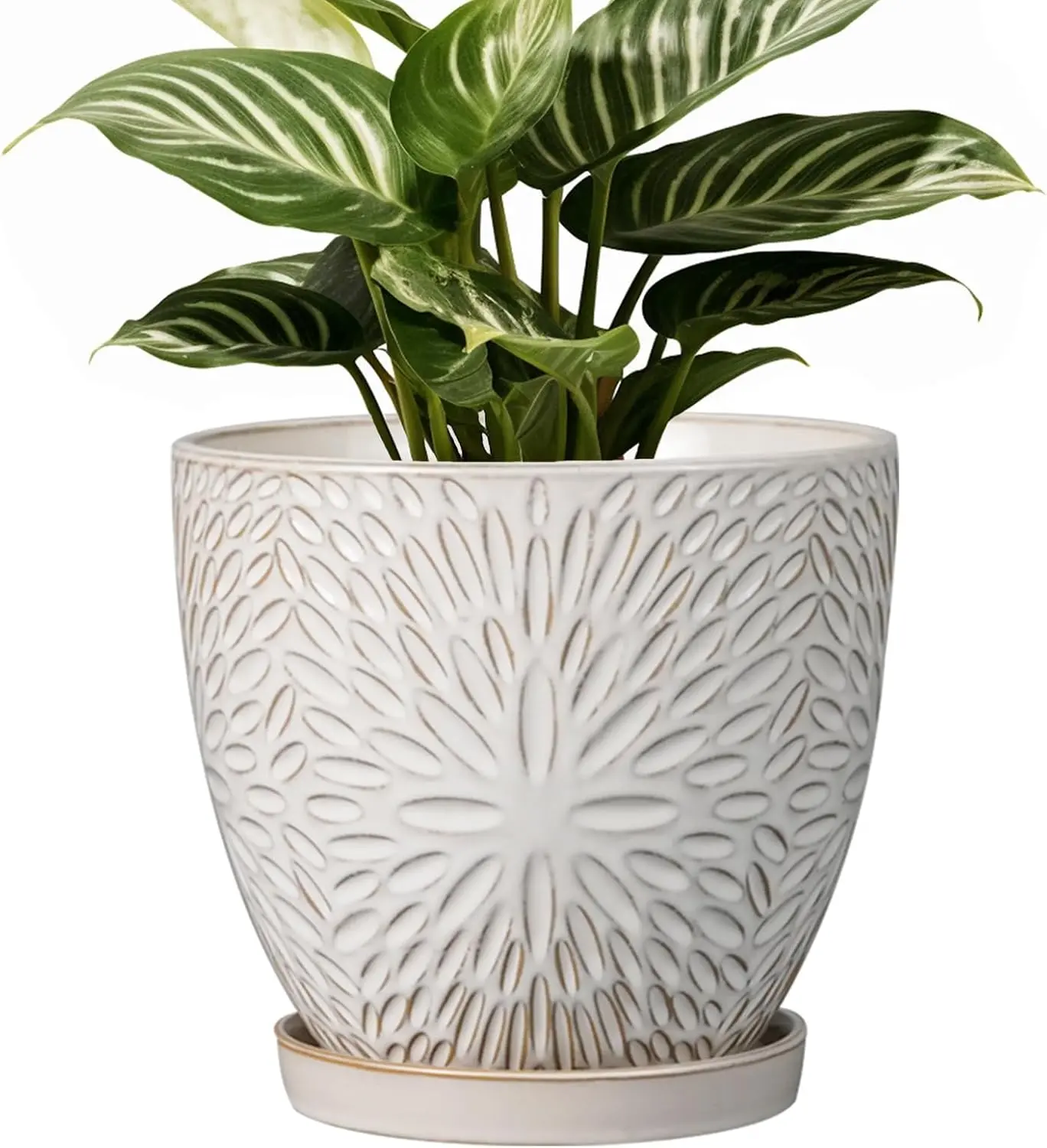 6 Inch  Pot for Indoor  Outdoor Round Ceramic Planter Decorative Flower Pot with Drainae Hole and Saucer White