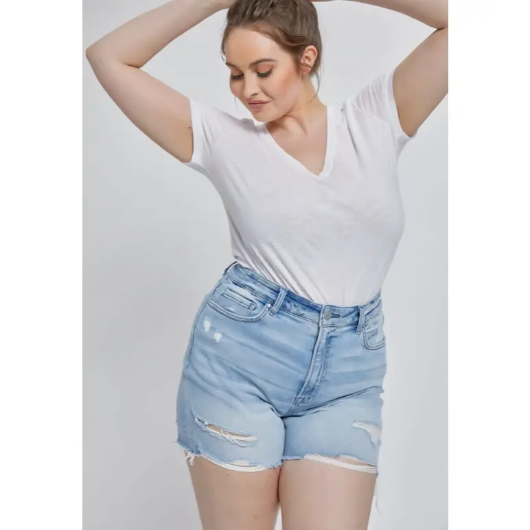 Mica Sophie Distressed High Rise Shorts