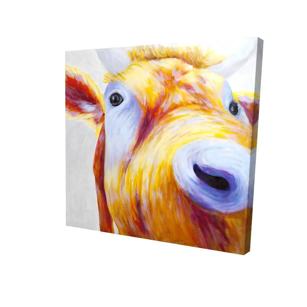 Begin Home Decor 2080-3636-AN148 36 x 36 in. Closeup of a Colorful Country Cow Canvas - Home Decor