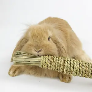 Pet Hand Woven Water Grass Carrot Toy