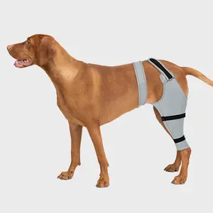 Supet Dog Rear Leg Sleeve to Stop Licking