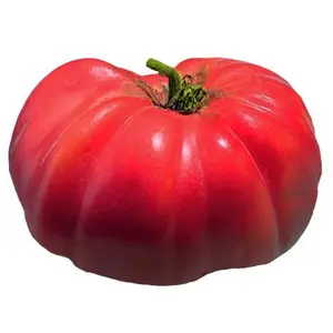 German Johnson Tomato Seeds