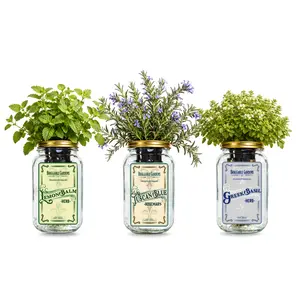 Chef’s Herb Garden Mason Jar Grow Kit (3 Pack) – Tuscan Blue Rosemary, Greek Basil & Lemon Balm – Indoor Hydroponic Herb Growing Kit – Windowsill Kitchen Herb Garden