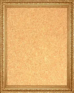 Framed Cork Board - Antique Gold Finish Frame