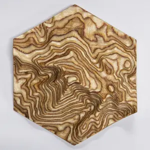 Pikes Peak Magnetic Topographic Hexagonal Carving