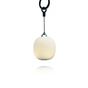 Rechargeable Spherical Hanging LED Lantern - Soft Warm Glow, Compact Portable Electric Lamp with Carabiner Hook for Camping, Hiking, Outdoor Ambient Lighting