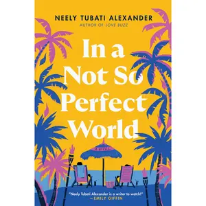 In a Not So Perfect World: A Novel by Neely Tubati Alexander [Paperback Book]