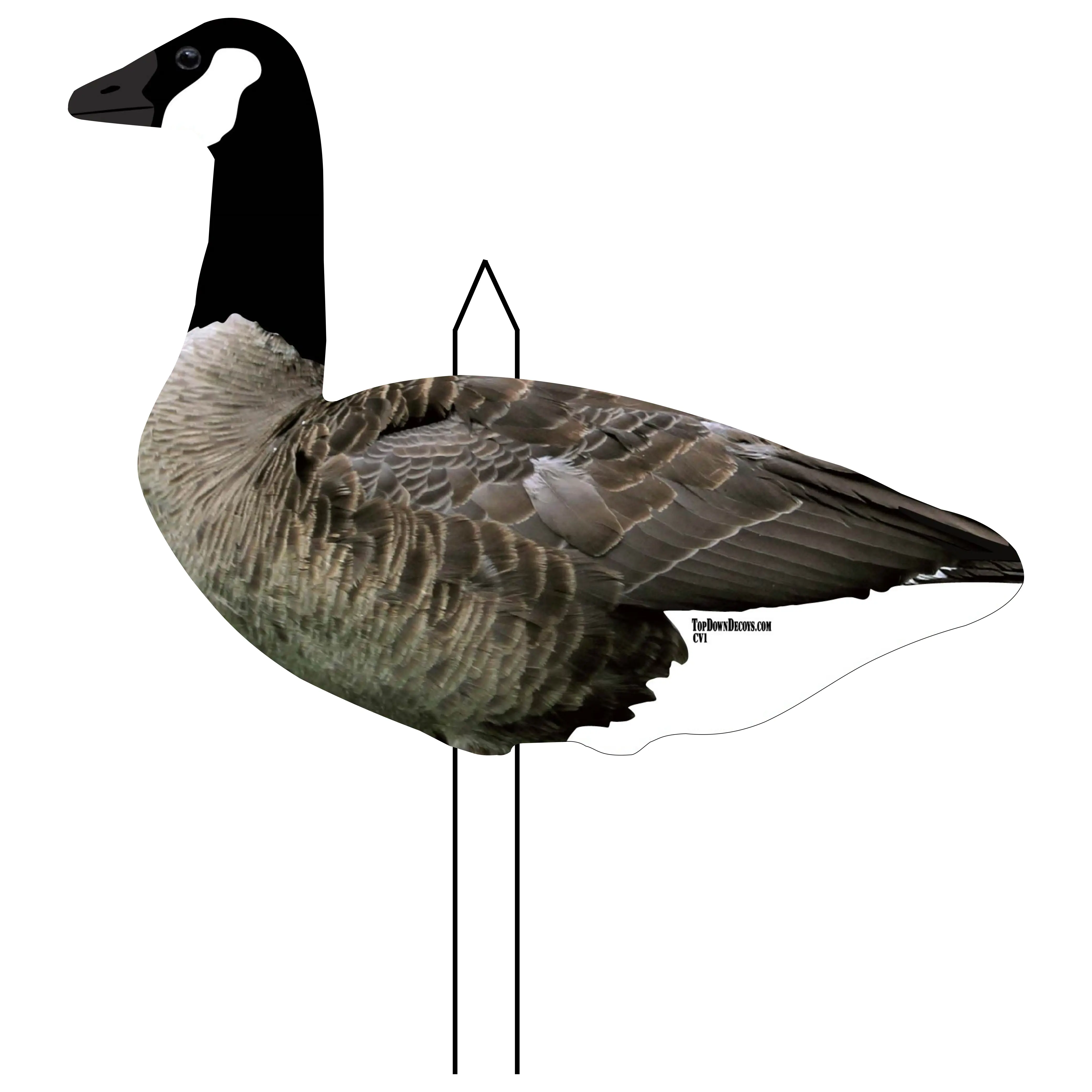5 Dozen Silhouette Decoys - Top Down Decoys - 60 Canada Silhouette Goose Decoys