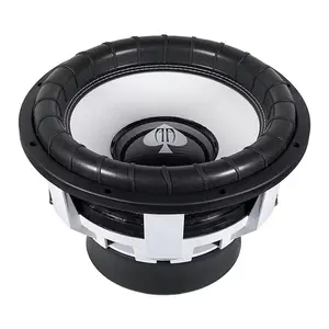 Audio Ace Wild 15" Subwoofer
