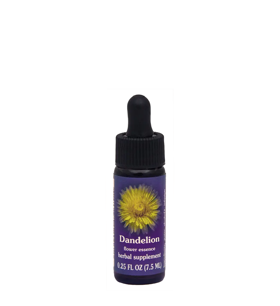 FES Flower Essences: Dandelion
