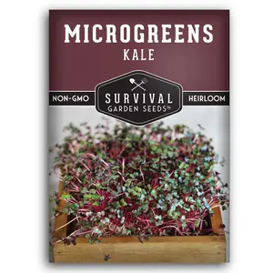 Kale Microgreen Seeds - Grow Healthy Greens at Home