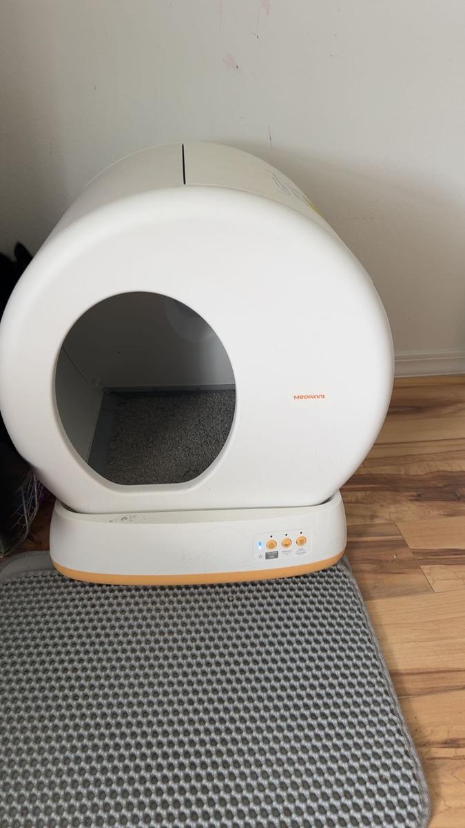 Item: 1 Cat Litter Box, White