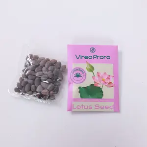 20 Mixed Color Bonsai Lotus Seeds for Ornamental Ponds & Home Planting - Easy to Plant, All Seasons, Open Mouth Bowl Variety