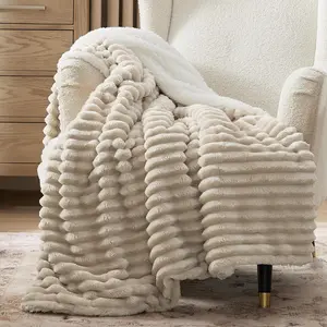 Sherpa Twin Size for Couch - Super Thick Warm for Winter, Plush Beige Throw Gift for Women, 60x80 Inches