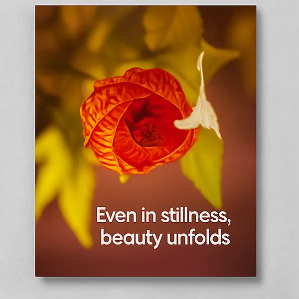 Even in Stillness – Original Photography Art Print | Chinese Lantern Flower Decor Leaf  Artwork Mother's Day Fine Art Canvas Metal Prints Matte Poster Nature Wall Decoration