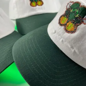 Moola Collection Embroidered Cactus Design Hat - Green and White Trucker Style Cap for Stylish Outfits