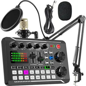 Professional Wireless USB Microphone Sound Card Set, Compatible with PC & Laptop, Karaoke Singing Gaming Live Streaming APP Support