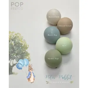 Peter Rabbit Balloon Arch Kit