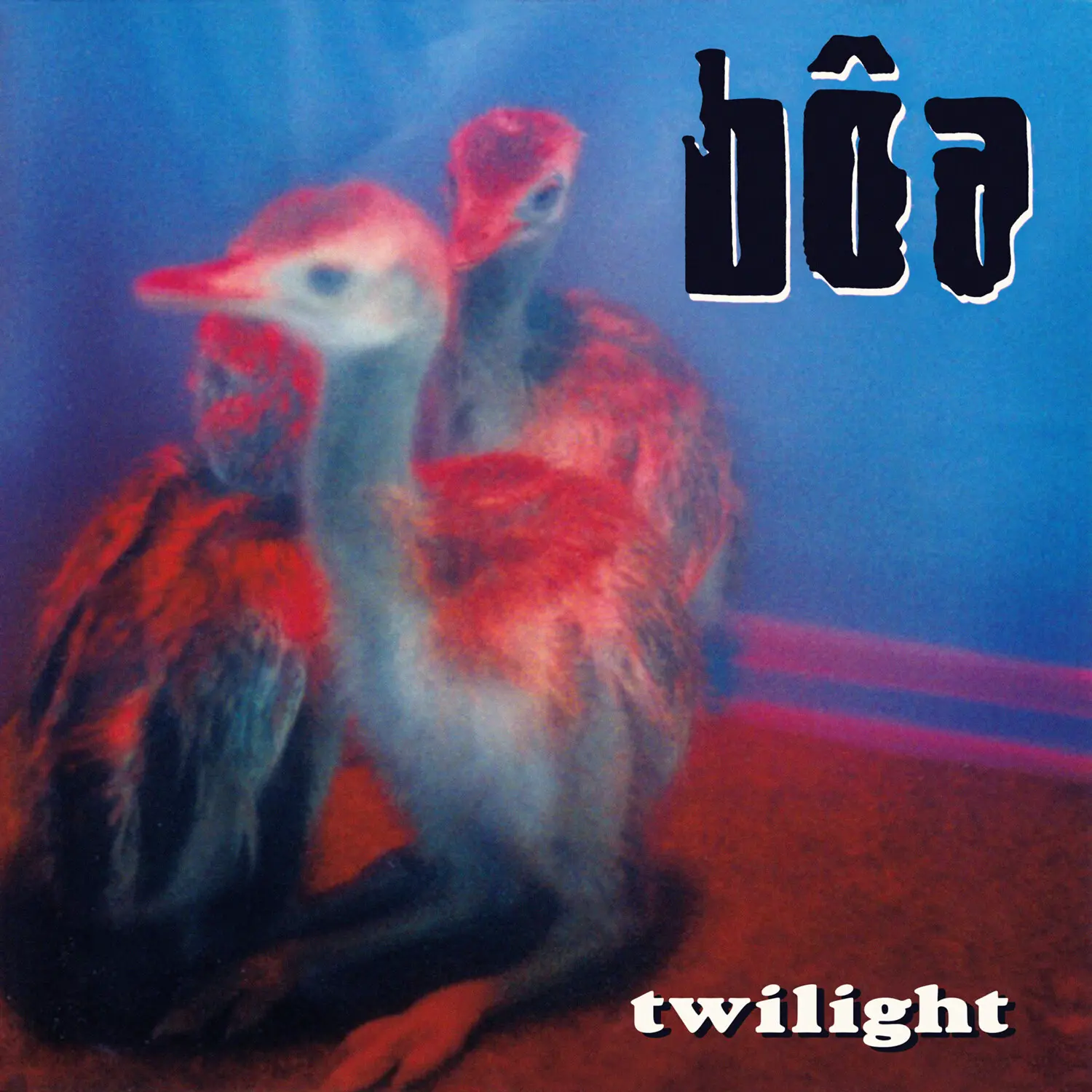 Bôa - Twilight LP (Long Play) Alternative Rock English Band Vinyl Reissue Album, 14 Tracks by Nettwerk Records, Music Albums, Artist