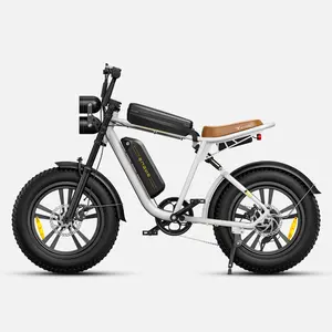 ENGWE M20 Electric Bike with 750W Magnesium Alloy Motor 75Nm Torque 20x4.0 Off-Road Tires 52V Battery 28MPH Max Speed 63 Miles Range