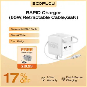 EF ECOFLOW 65W USB C Charger with Retractable Cable, 3-in-1 Phone Charger with Type C Cable, 2-Port Fast Charger Compatible with iPhone 16 Pro Max, iPad Pro/Air, Galaxy S25, Steam Deck (White) Electronic Cellphone iphone charger