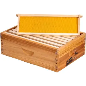 8-Frame Beehive Box Langstroth Medium Super Bee Box for Sale Wax Coated Bee Hives Includes Wooden Frames & Waxed Foundations