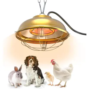 300 Watt Heat Lamp For Chicken Coop - Professional Waterproof Chicken Coop Heater For Indoor & Outdoor Used - Suitable For Chick, Duck, Rabbit And Dog