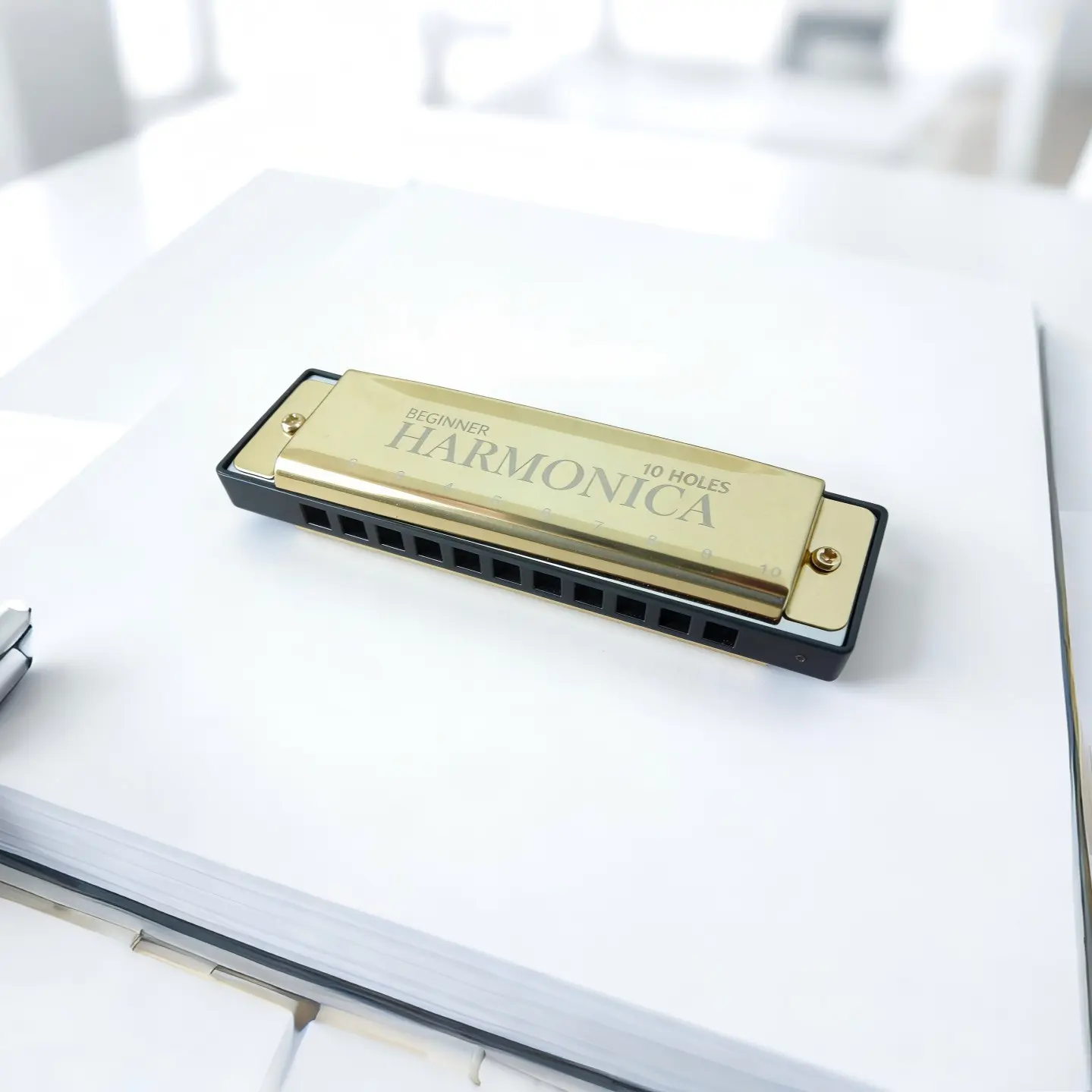 Blue Harmonica, 10 Hole C Key Melodic Harp, Beginner Friendly, Easy to Play for Beginners, Includes Storage Box, Ideal Musical Instrument for Music Lovers