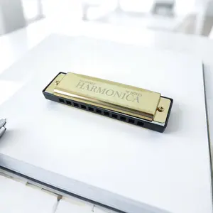 Blue Harmonica, 10 Hole C Key Melodic Harp, Easy to Play for Beginners, Includes Storage Box, Ideal Musical Instrument for Music Lovers