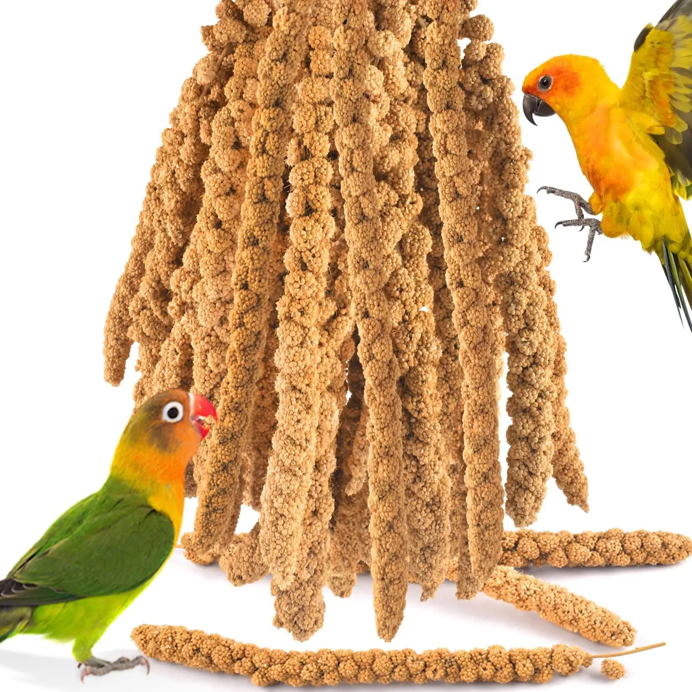 Spray Millet for Birds, 2.0LB / 910g  Sun-Dried Millet Spray Bird  Parakeet Food for Cockatiels Conures Parrots Hamsters Finches