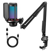 RGB mic with Boom Arm+Type C Adapter