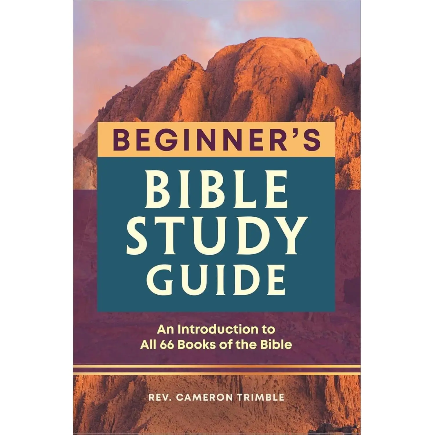 The Beginner's Bible Study Guide: An Introduction to All 66 Books of the Bible